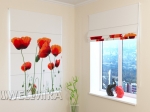 RC1_Netherlands poppies_w