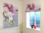 RC1_Orchids and Rain_w