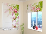 RC1_Pink lilies_w